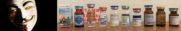 a pvp Алексеевка