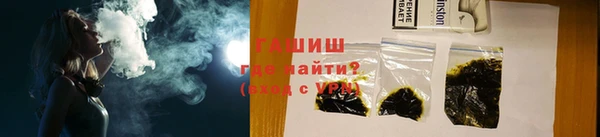 гидра Корсаков