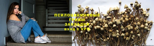 a pvp Алексеевка