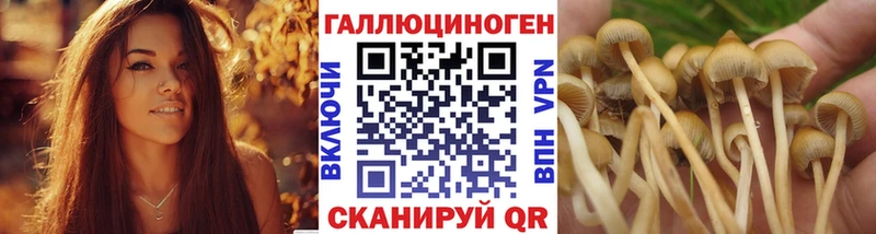 Галлюциногенные грибы прущие грибы  Егорьевск 