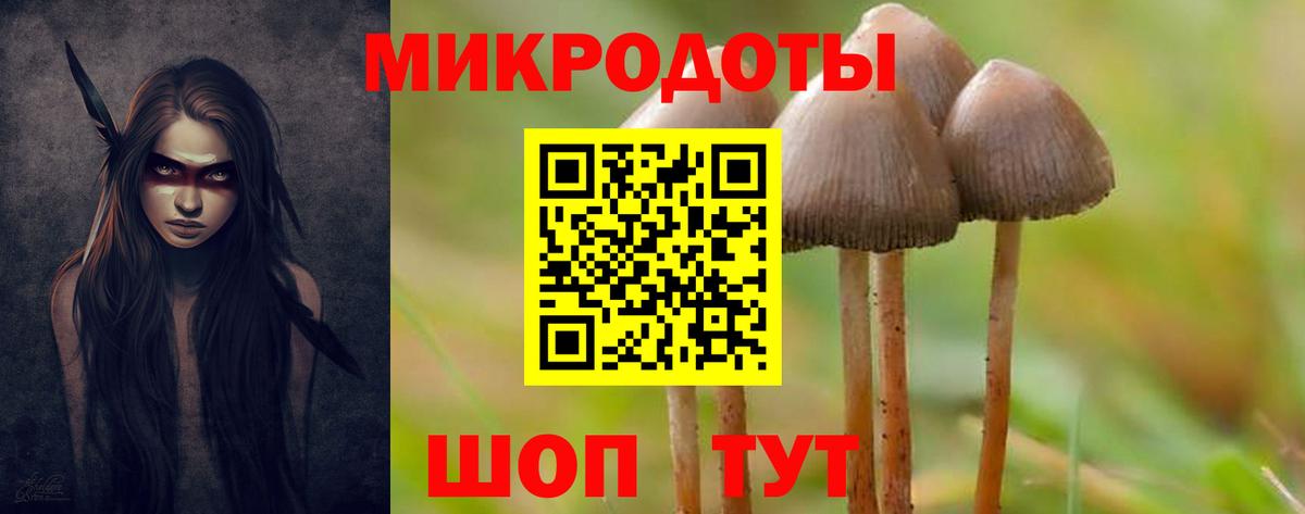 Галлюциногенные грибы MAGIC MUSHROOMS Егорьевск